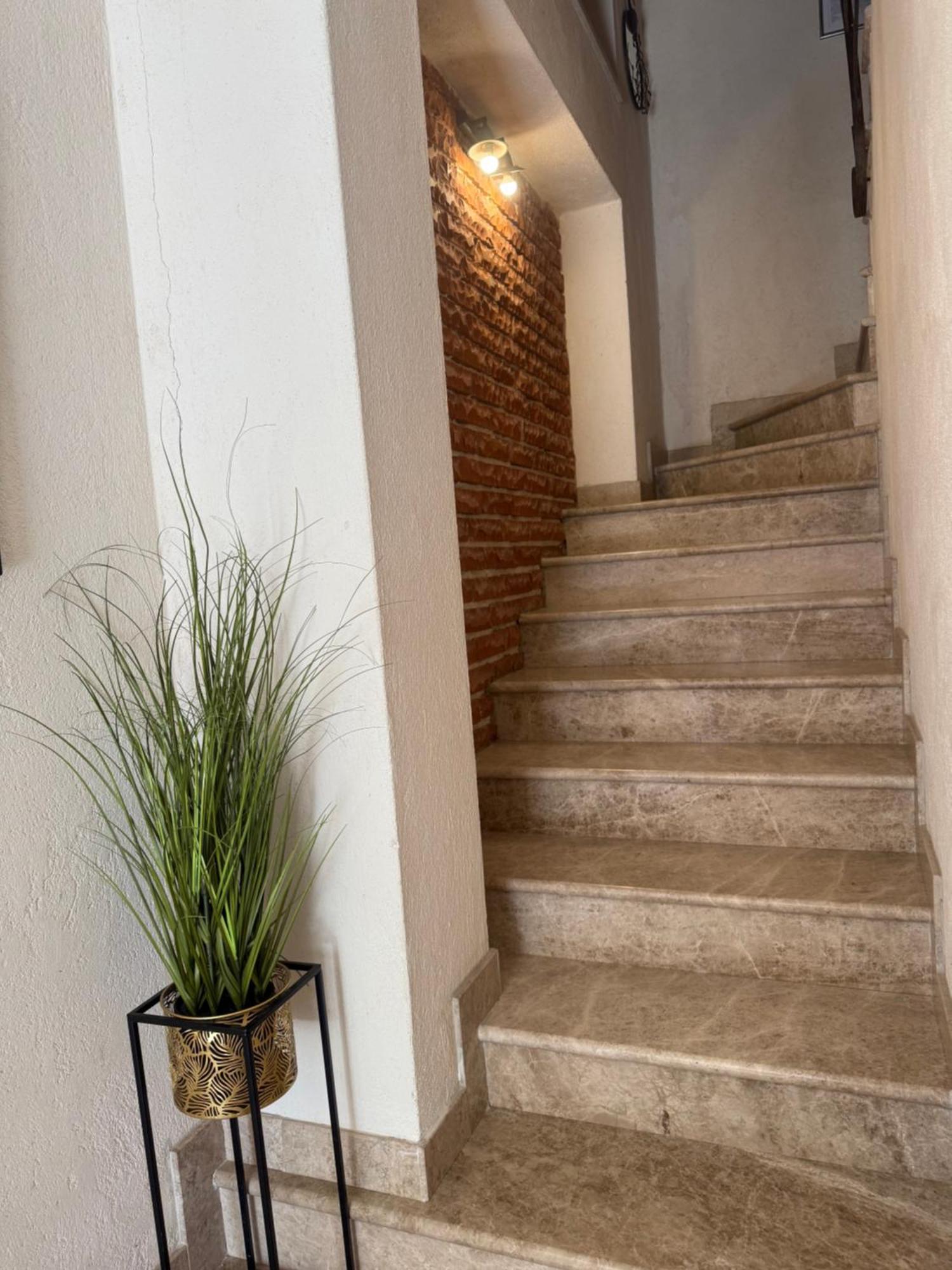 Skver Studio Apartments Herceg Novi Buitenkant foto